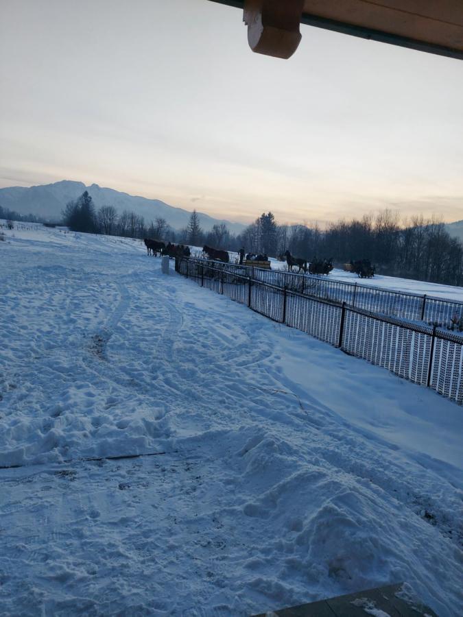 Domek Zakopane Tatrzanski Kacik Apartzakop Екстер'єр фото
