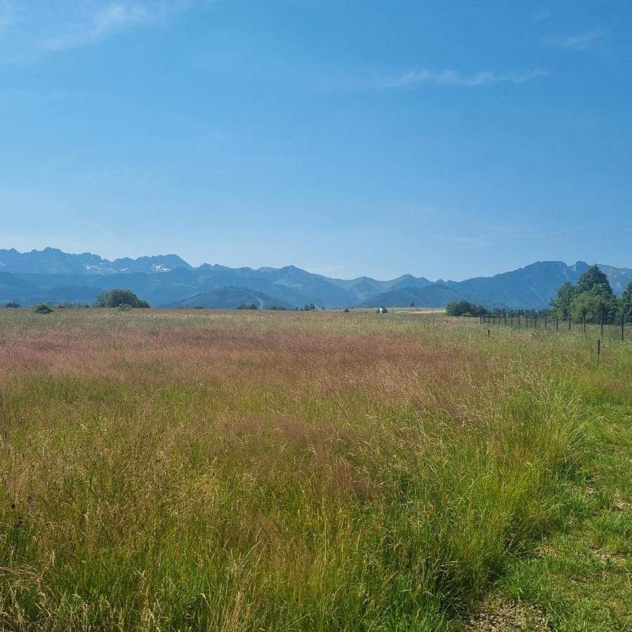 Domek Zakopane Tatrzanski Kacik Apartzakop Екстер'єр фото
